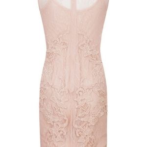 Liu Jo lace dress with slip